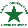 RKSV格罗内 斯特logo
