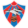 华路哈利达仁迪U19logo