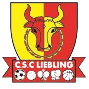 CSC利伯林logo