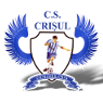 奇辛纽克利斯logo
