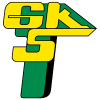 莱茨纳女足logo