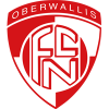 纳特斯logo