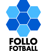 弗洛U19logo