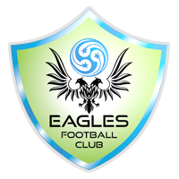 班加罗尔鹰logo