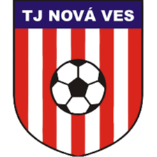 TJ  新星队logo