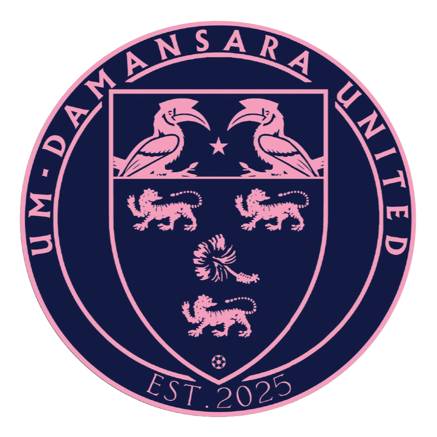 达曼沙拿联logo