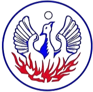 纳奥塞logo