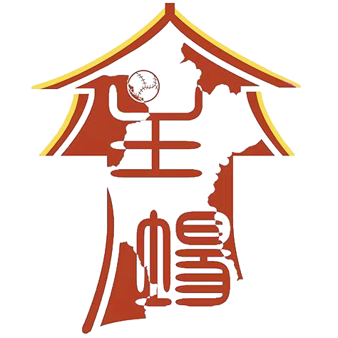 淄博主场logo