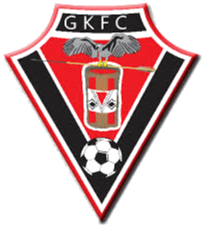 加维奥logo