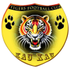 猛虎logo