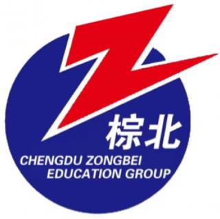 棕北中学鑫雄起U13logo