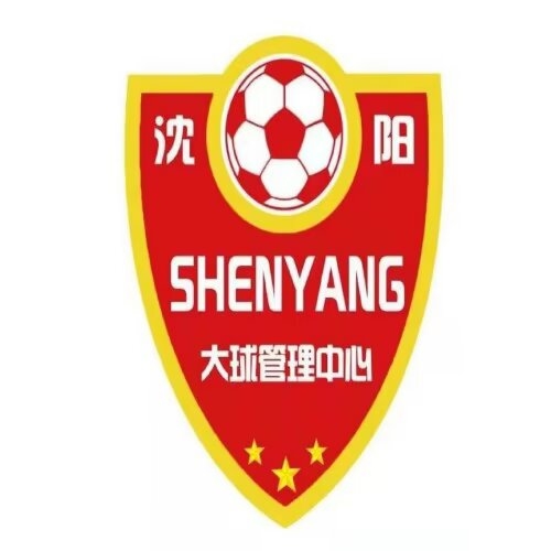 沈阳大球中心U15logo