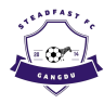 斯特德法斯特logo
