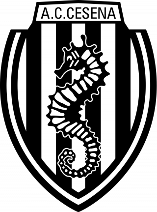 切辛纳女足logo