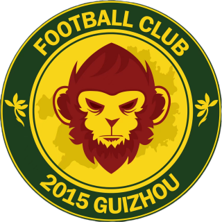 黔之星计划U13logo