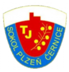 TJS塞尔尼斯logo