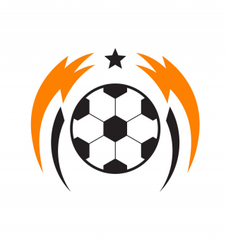 AFC米尔库里亚logo