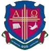 圣路易红雀女足logo
