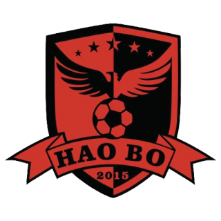 佛山皓博女足logo
