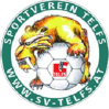 泰尔夫斯logo
