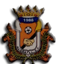 阿科德迪U19logo
