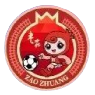 枣庄队logo
