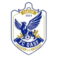 广州英华思力U15logo