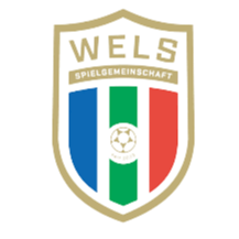 WSPG韦尔斯B队logo