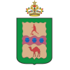 AMLFF阿尤恩女足logo