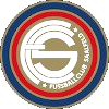 FC萨尔费尔德logo