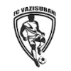瓦济苏巴尼logo