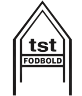 TST足球logo