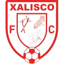 沙利斯科logo