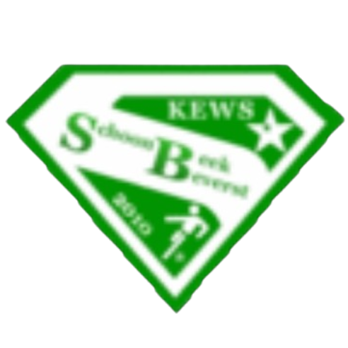 斯鸿比克logo