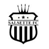 萨尔塞特logo