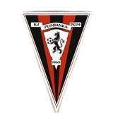 普齐姆logo