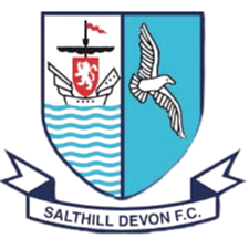 萨尔斯尔logo