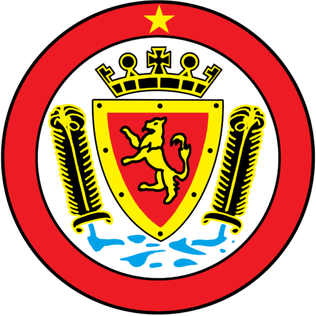索尔塔什女足logo