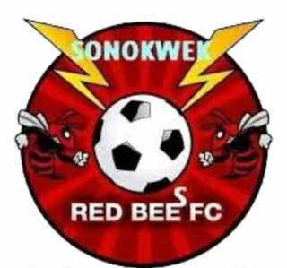 红蜂logo