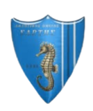 萨尔提斯logo