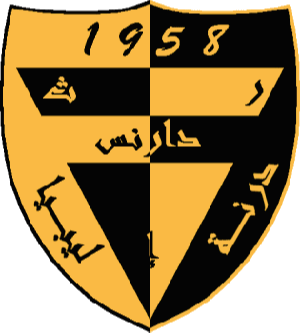 达尼斯体育logo