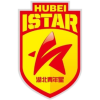 湖北青年星U15logo