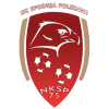 热尼亚波尔萨瓦logo