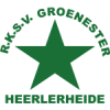 RKSV格罗内 斯特logo