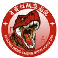 自贡灯城燊龙队logo