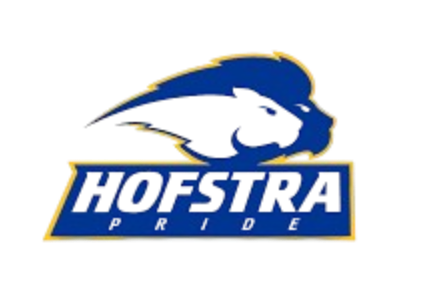 霍夫斯特拉女足logo