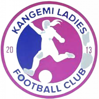 康涅米FC女足logo