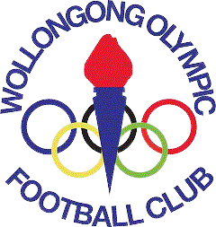 卧龙岗奥运logo