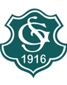 斯凯恩logo